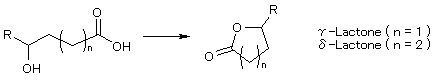 ⑥ γ－、δ－ラクトン